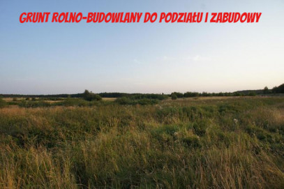 Działka Sprzedaż Brzozowo