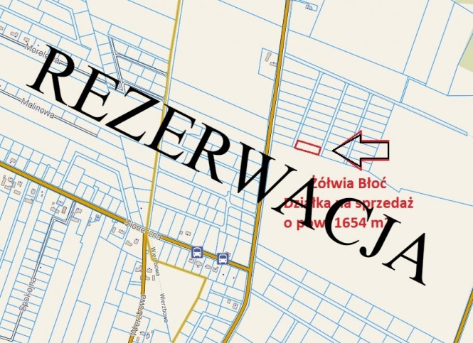 Działka Sprzedaż Żółwia Błoć 1