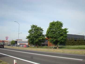 Działka Sprzedaż Warzymice