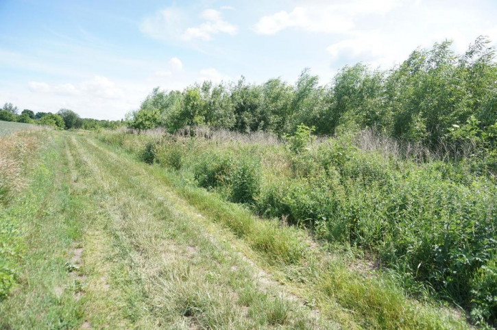 Działka Sprzedaż Goleniów 6