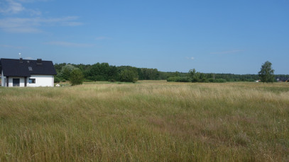 Działka Sprzedaż Dołuje