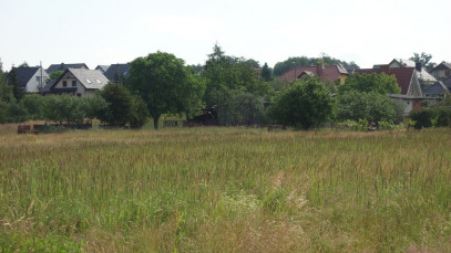 Działka Sprzedaż Dołuje