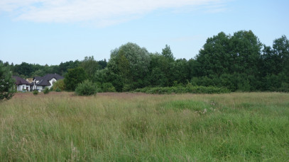 Działka Sprzedaż Dołuje