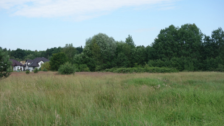 Działka Sprzedaż Dołuje 8