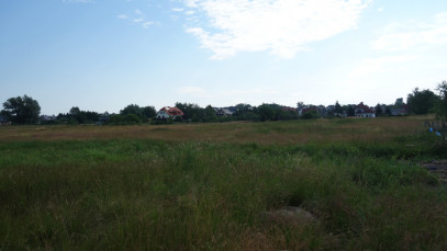 Działka Sprzedaż Dołuje