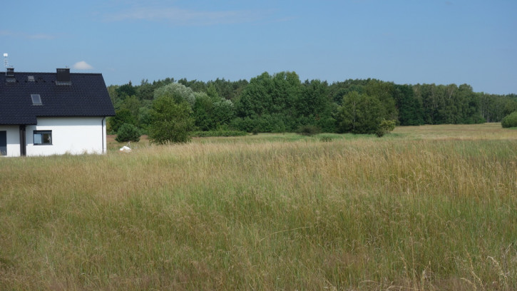 Działka Sprzedaż Dołuje 12