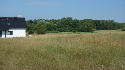 Działka Sprzedaż Dołuje
