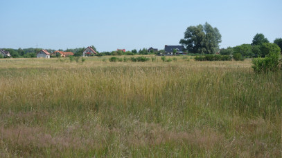 Działka Sprzedaż Dołuje