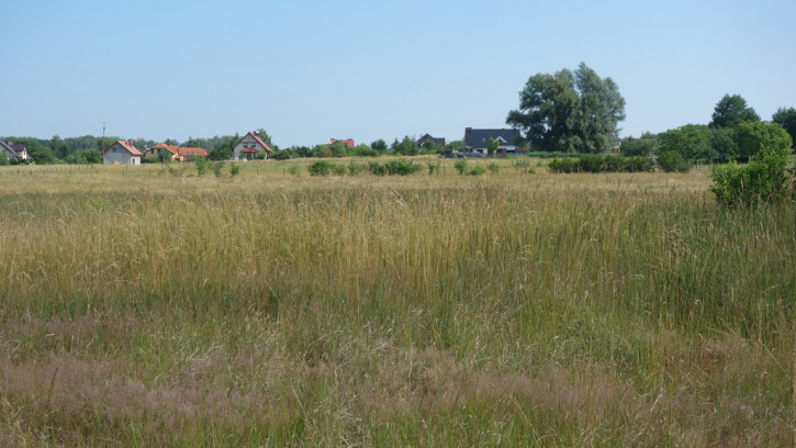 Działka Sprzedaż Dołuje 13