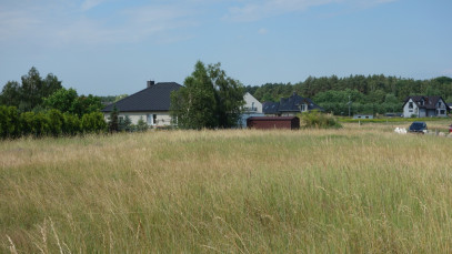 Działka Sprzedaż Dołuje