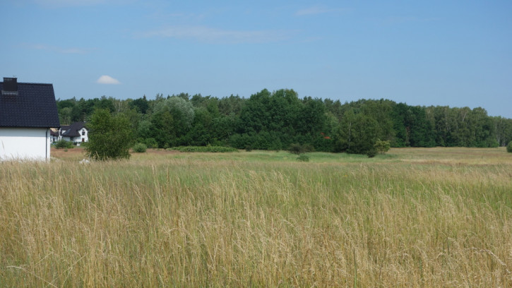 Działka Sprzedaż Dołuje 15