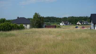 Działka Sprzedaż Dołuje
