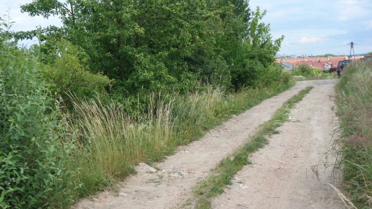 Działka Sprzedaż Bezrzecze 4