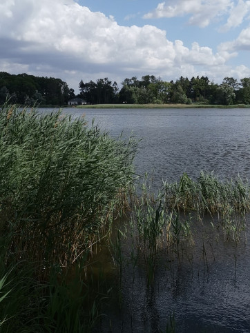 Działka Sprzedaż Myślibórz 8