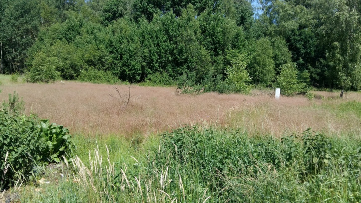 Działka Sprzedaż Dobra 3