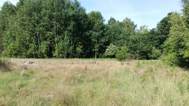 Działka Sprzedaż Dobra 4