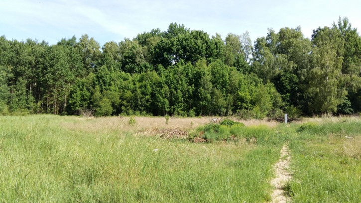 Działka Sprzedaż Dobra 5