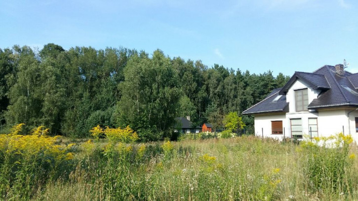 Działka Sprzedaż Dobra 6