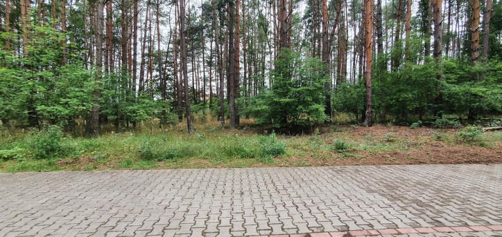 Działka Sprzedaż Dobra 4