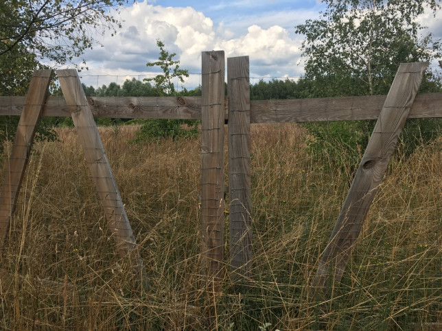 Działka Sprzedaż Dołuje 2