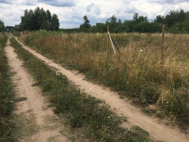 Działka Sprzedaż Dołuje 4
