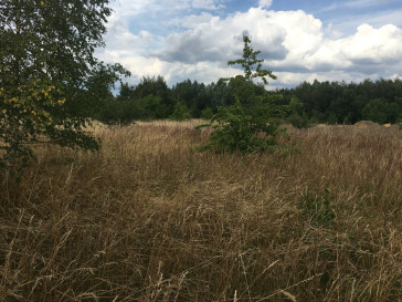 Działka Sprzedaż Dołuje