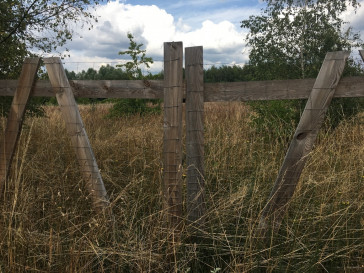 Działka Sprzedaż Dołuje