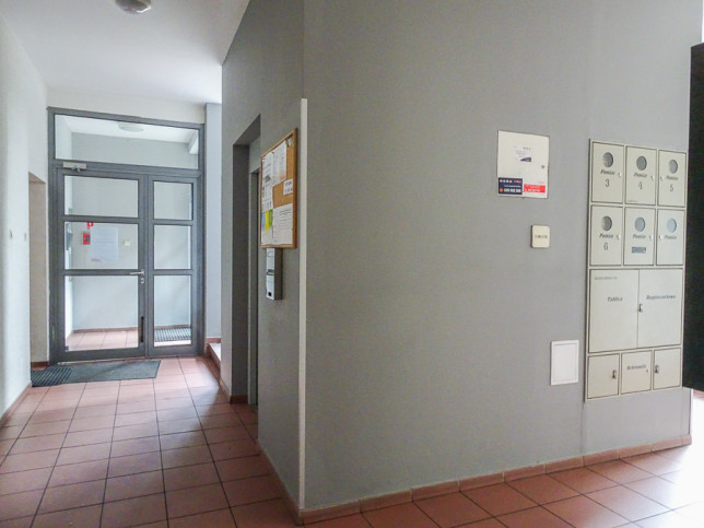 Lokal Wynajem Szczecin Śródmieście-Centrum 23