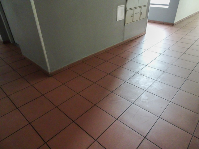 Lokal Wynajem Szczecin Śródmieście-Centrum 24