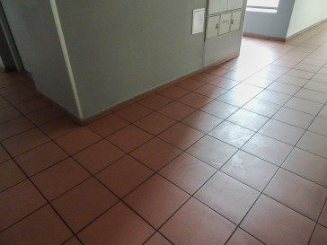 Lokal Wynajem Szczecin Śródmieście-Centrum