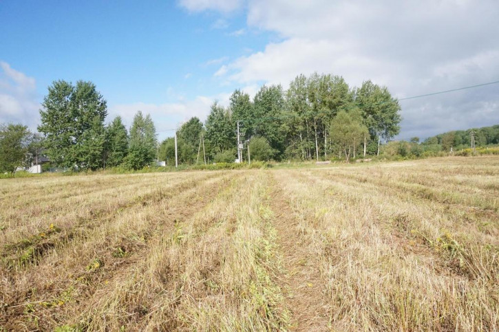 Działka Sprzedaż Żółwia Błoć 2