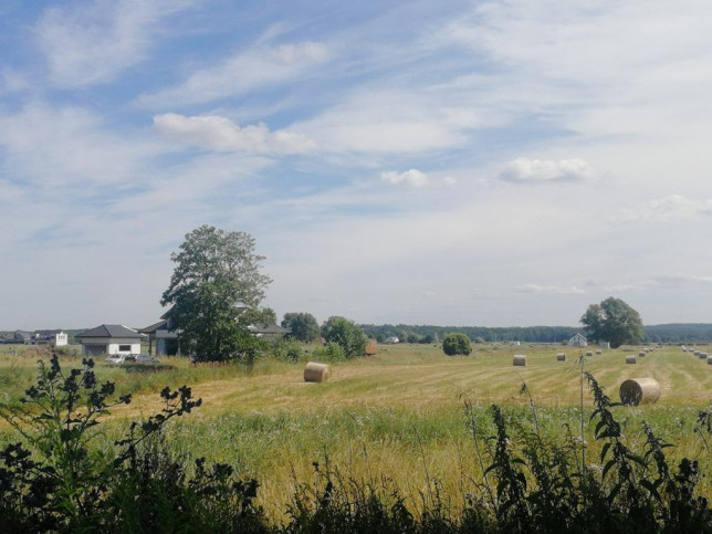 Działka Sprzedaż Dobra 5
