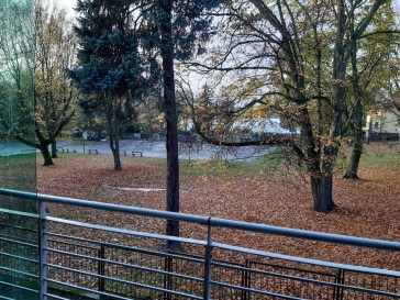 Mieszkanie Wynajem Szczecin Pogodno