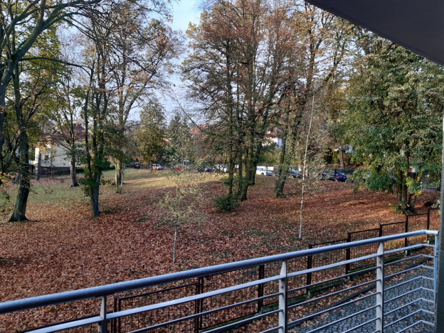Mieszkanie Wynajem Szczecin Pogodno 14