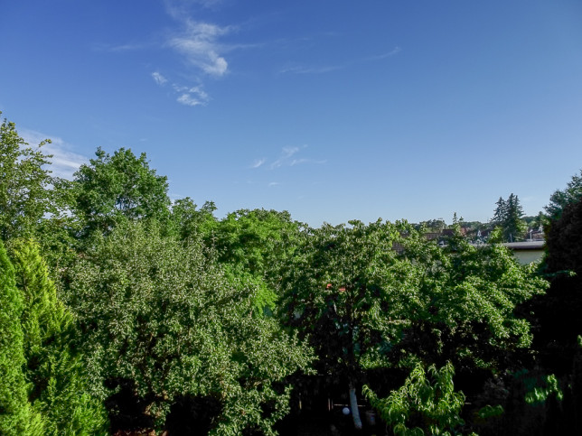 Dom Sprzedaż Szczecin Bezrzecze 42
