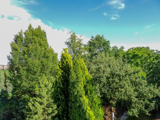 Dom Sprzedaż Szczecin Bezrzecze 43