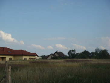 Działka Sprzedaż Wąwelnica