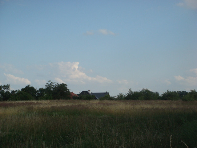 Działka Sprzedaż Wąwelnica 8