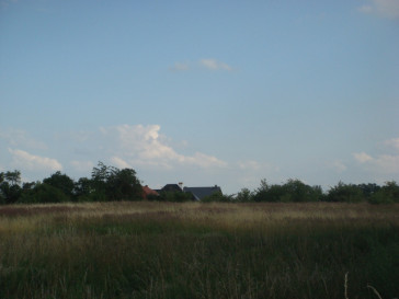 Działka Sprzedaż Wąwelnica