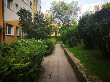 Mieszkanie Wynajem Szczecin Centrum Jacka Malczewskiego