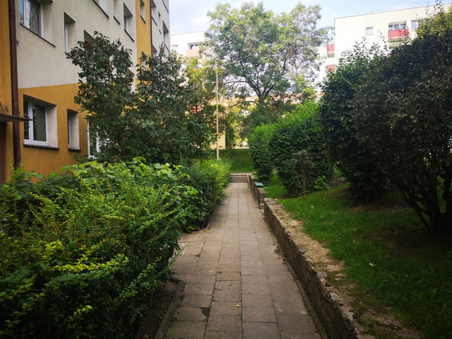 Mieszkanie Wynajem Szczecin Centrum Jacka Malczewskiego 10