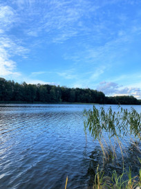 Działka Sprzedaż Błotno