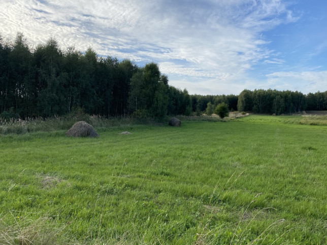 Działka Sprzedaż Błotno 2