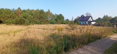 Działka Sprzedaż Tanowo