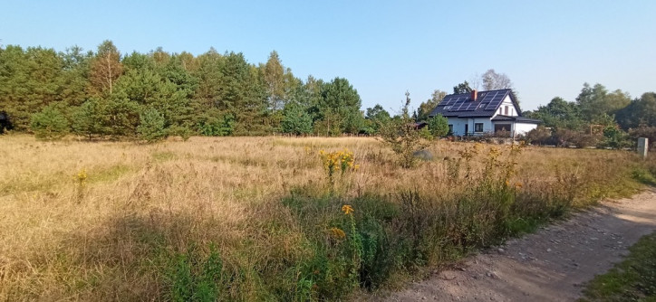 Działka Sprzedaż Tanowo 2