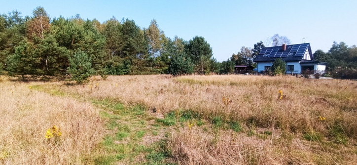 Działka Sprzedaż Tanowo 3