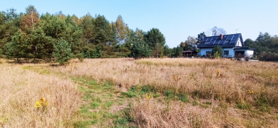 Działka Sprzedaż Tanowo