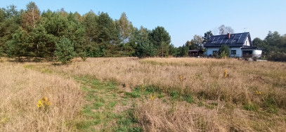 Działka Sprzedaż Tanowo