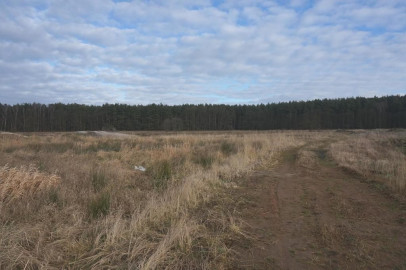 Działka Sprzedaż Żdżary