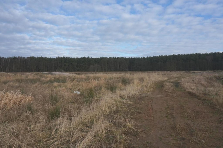 Działka Sprzedaż Żdżary 3